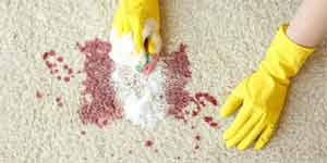 carpet blood stain removal evatt
